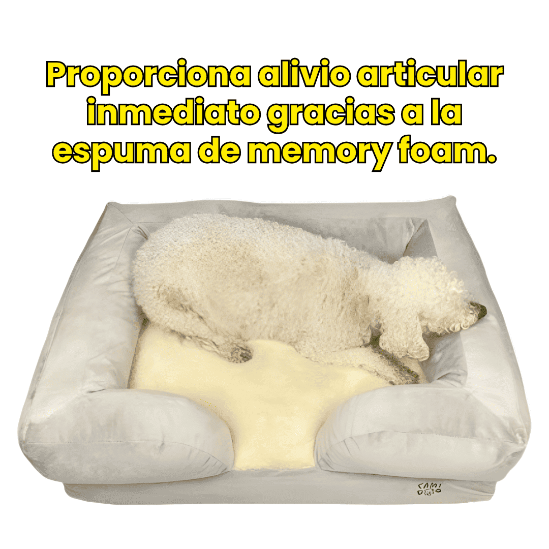 Cama Ortopedica Puff