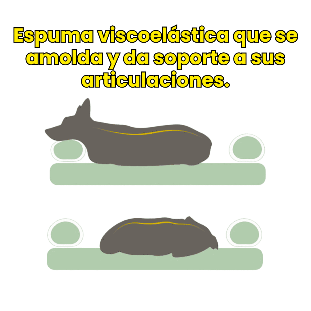 Cama Ortopedica Puff