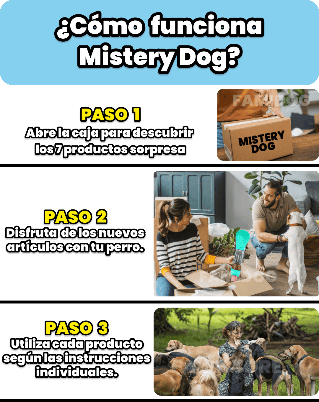 Mistery Dog