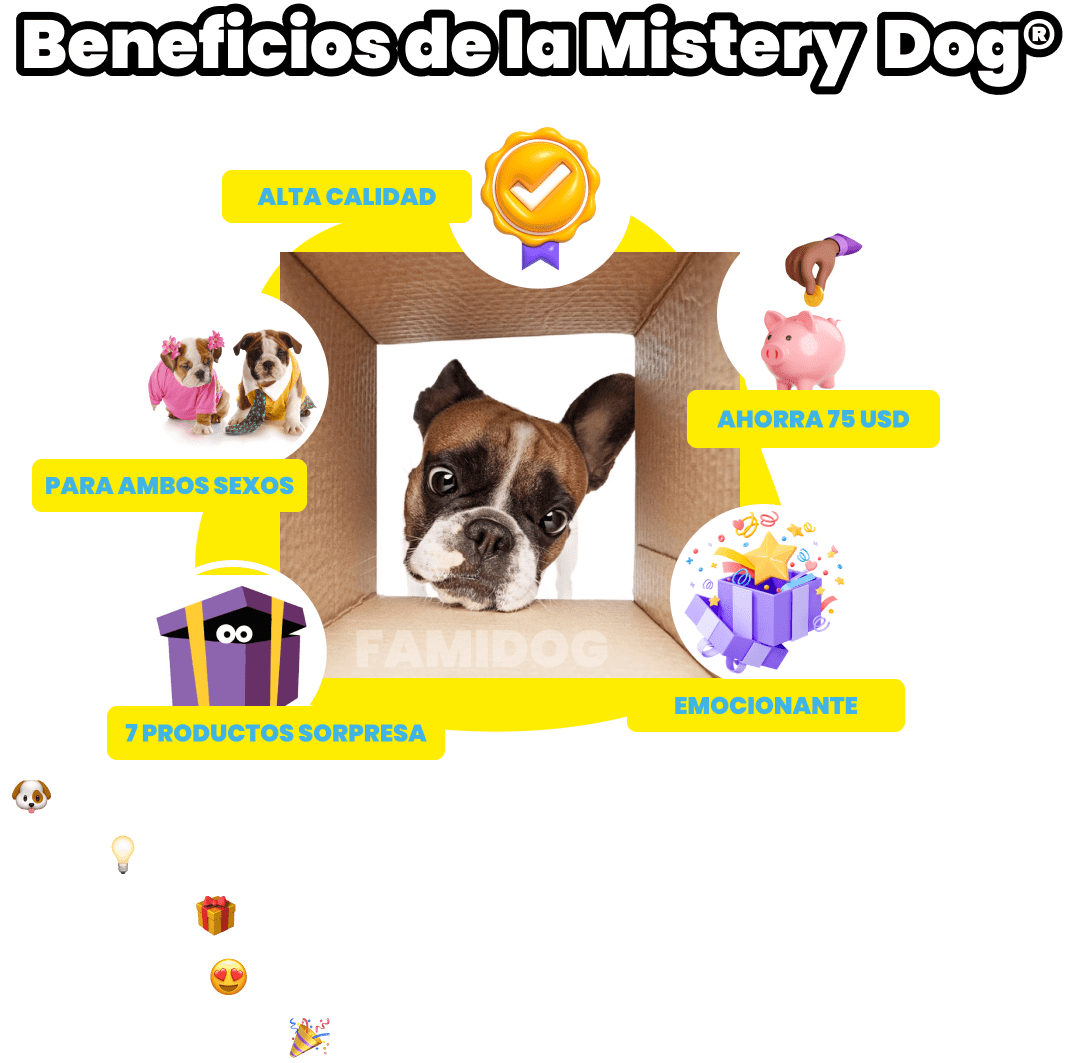 Mistery Dog