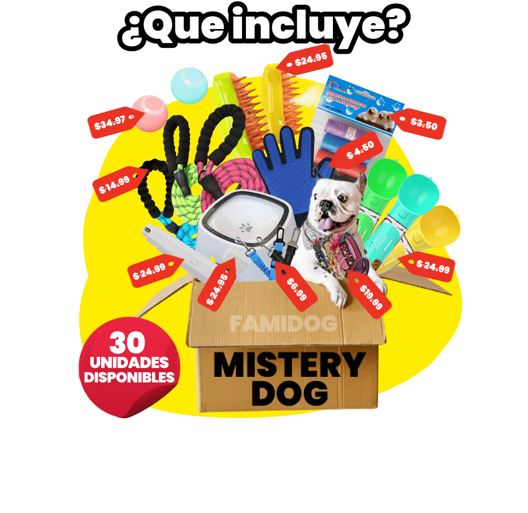 Mistery Dog