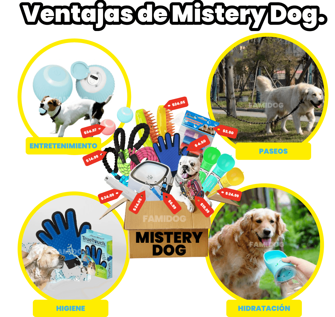 Mistery Dog