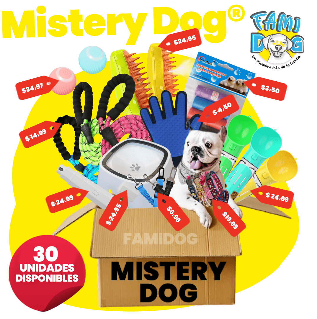 Mistery Dog