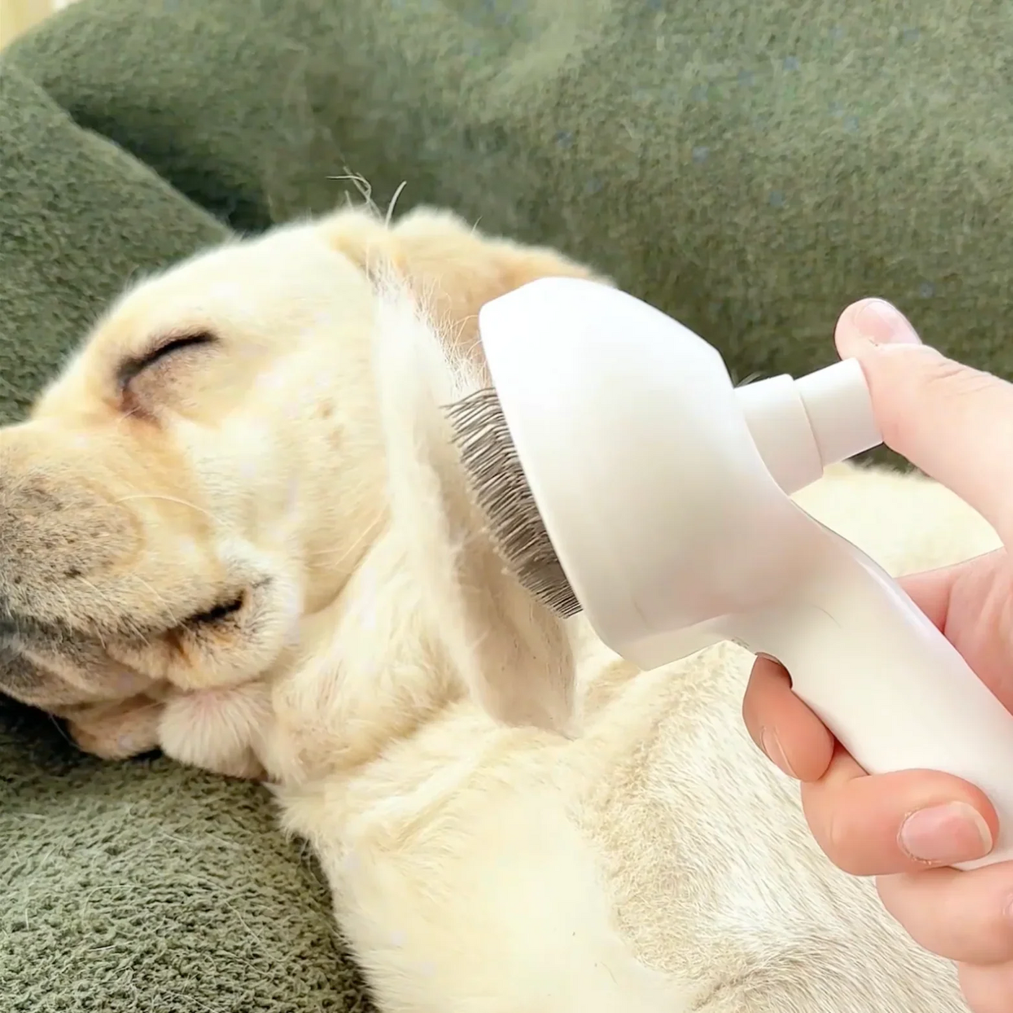 Cepillo Vapor Pet
