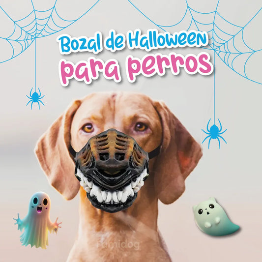 Bozal de dientes con sangre