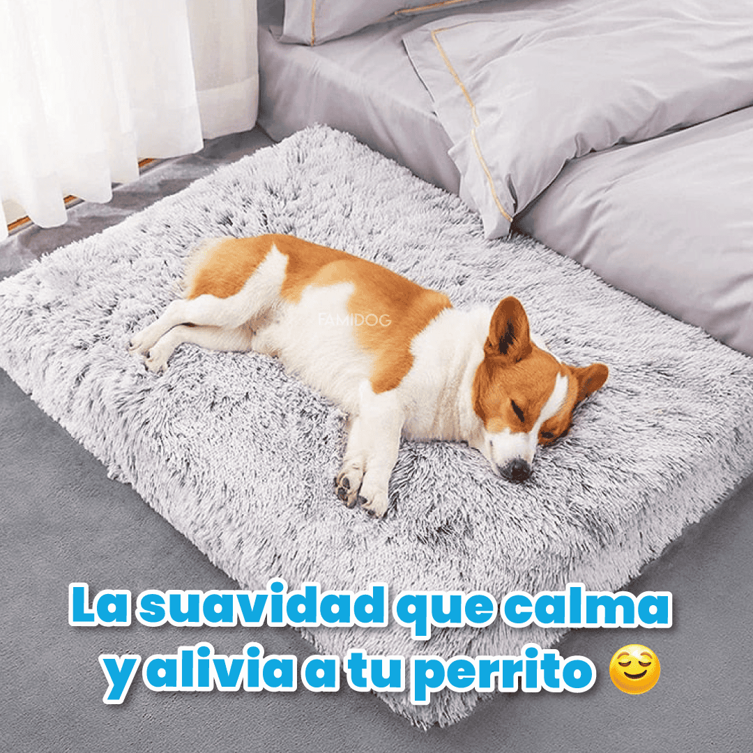 Cama Ortopédica Puff
