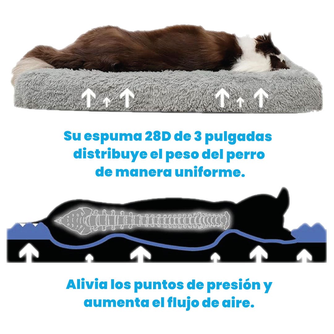 Cama Ortopédica Puff