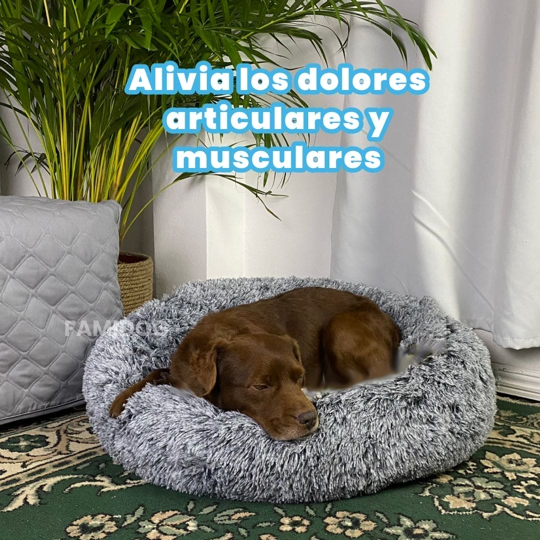 Cama Puff® + Manta termica