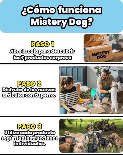Mistery Dog