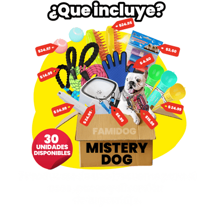 Mistery Dog