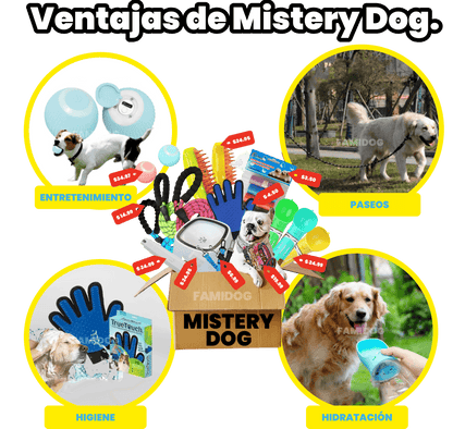Mistery Dog