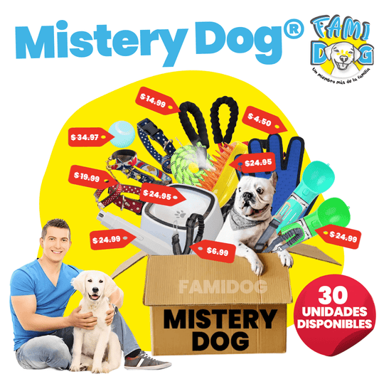 Mistery Dog