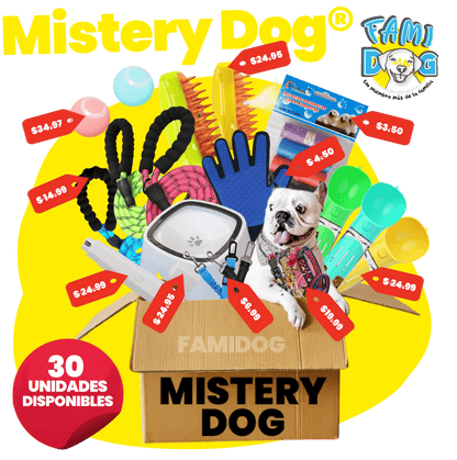 Mistery Dog