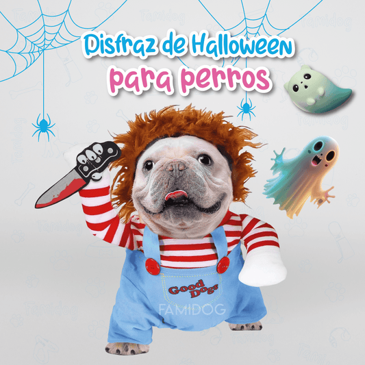 Disfraz de Halloween para perros