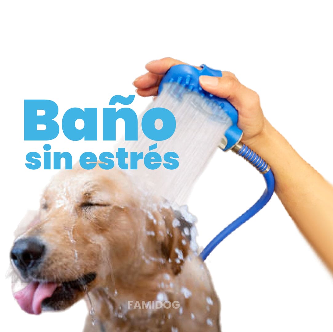 Hidro Ducha