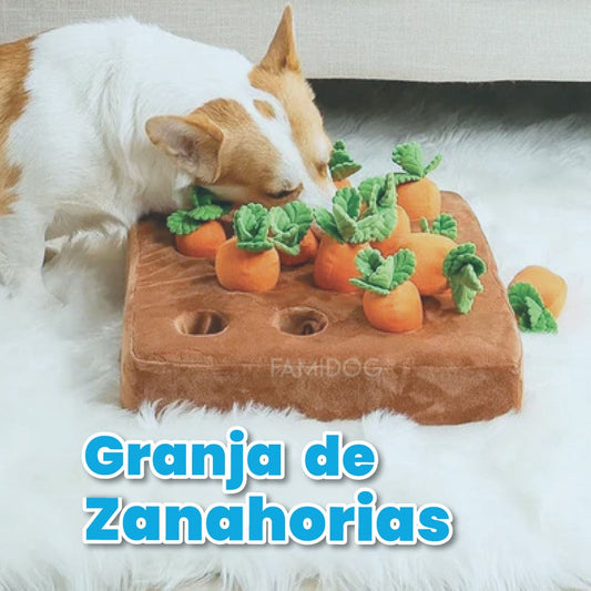 Granja de zanahorias
