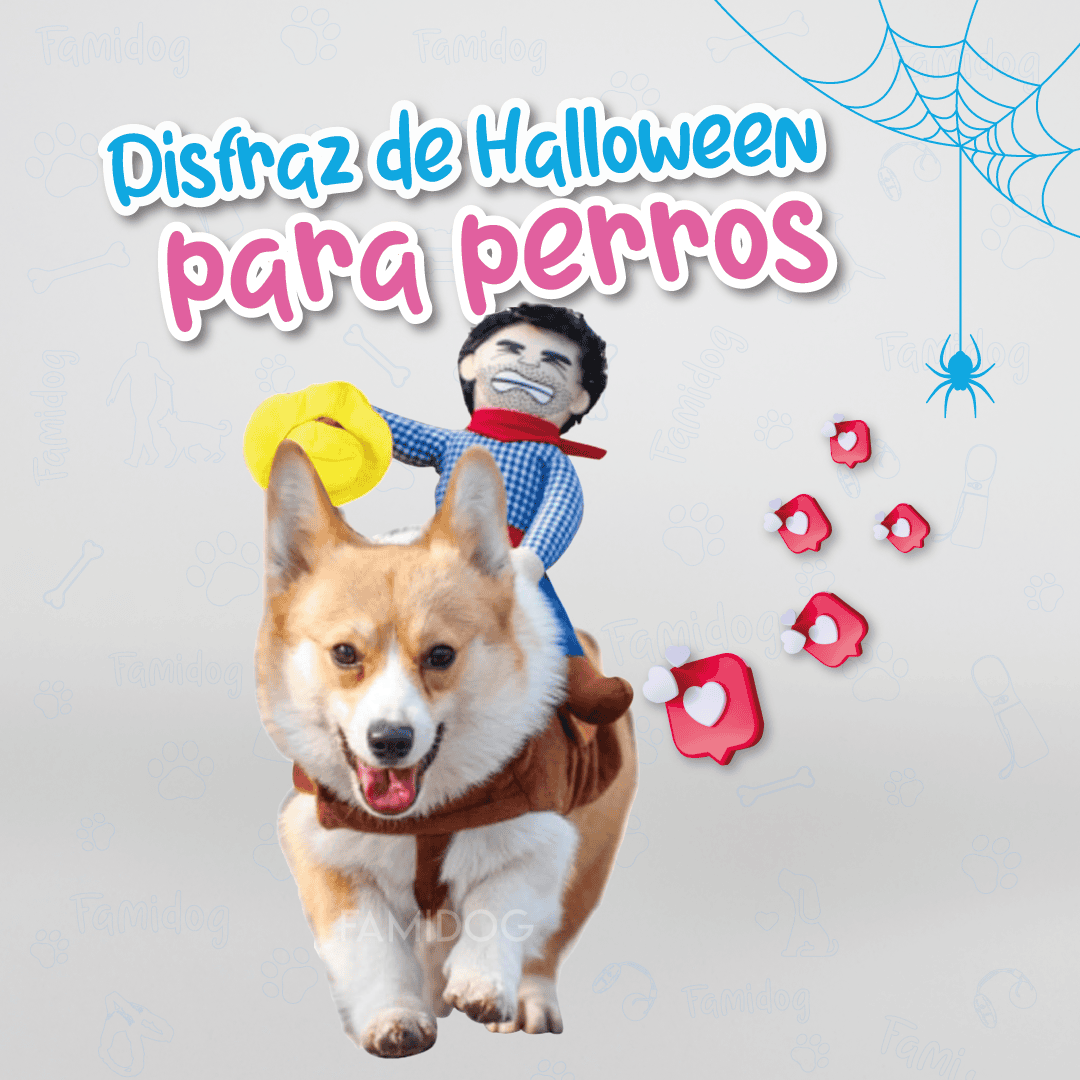 Disfraz de Halloween para perros