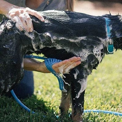 Hidro Ducha