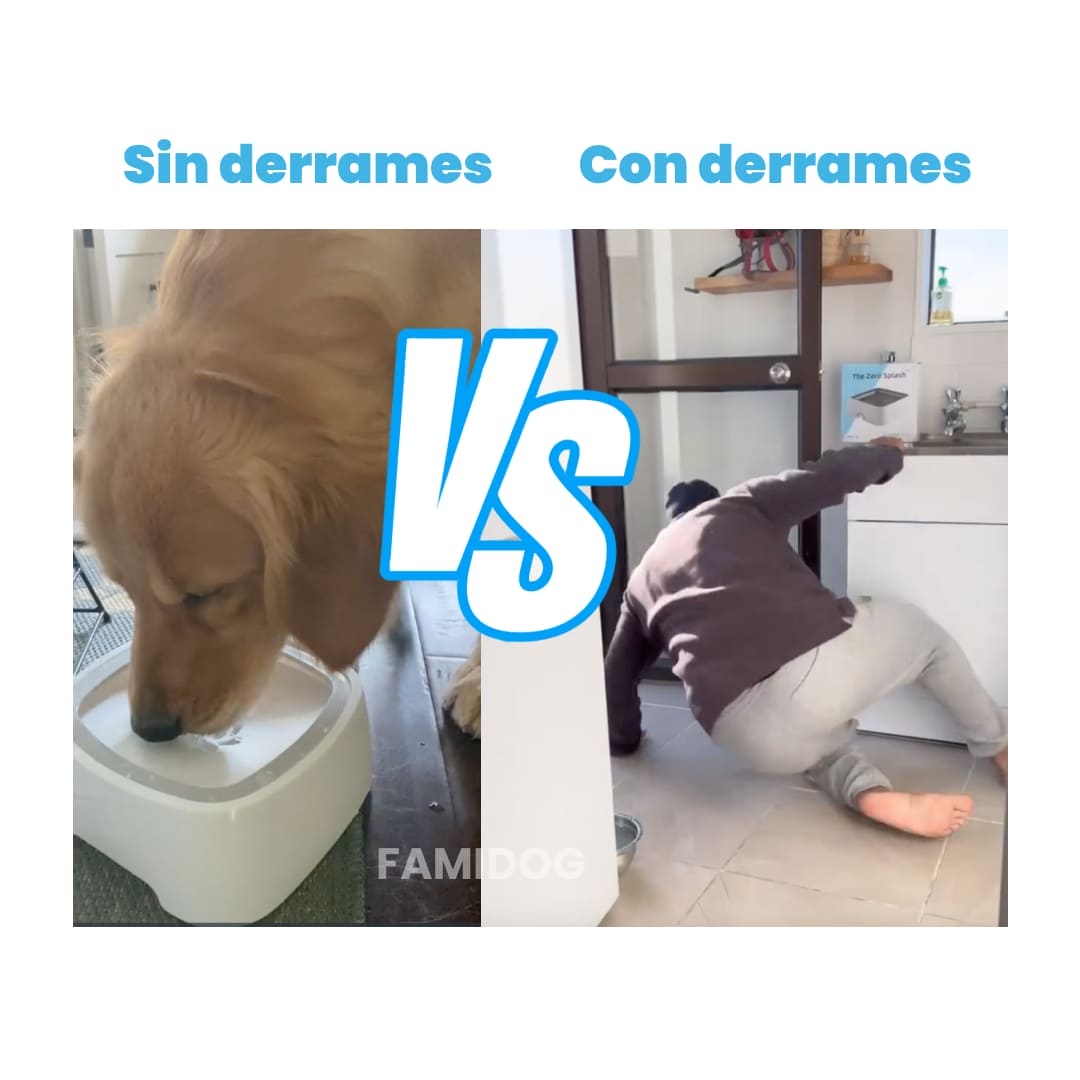 Bowl anti derrames®️