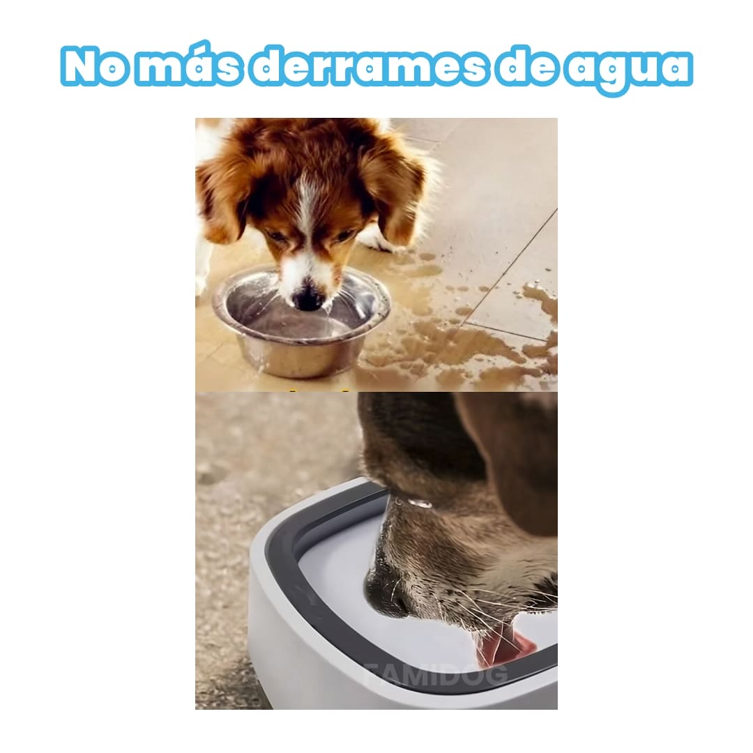 Bowl anti derrames®️