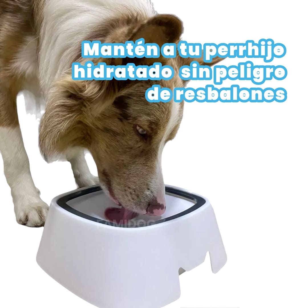Bowl anti derrames®️