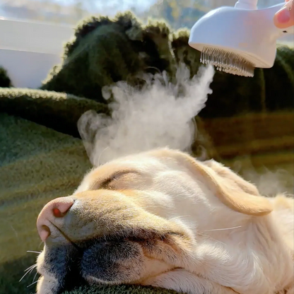 Cepillo Vapor Pet