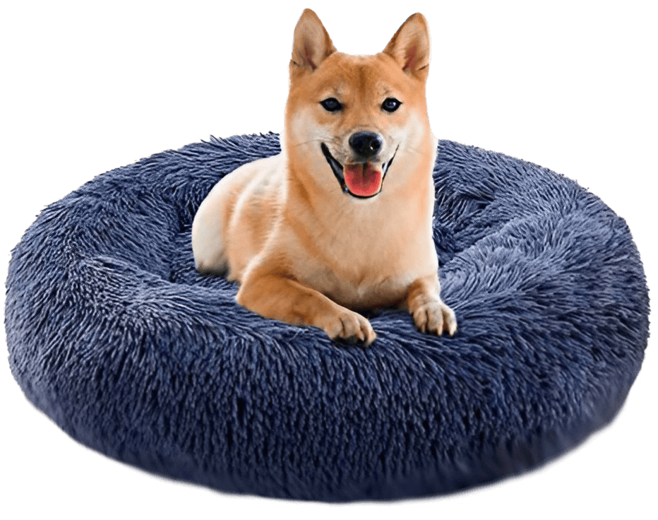 Cama Puff® + Manta termica