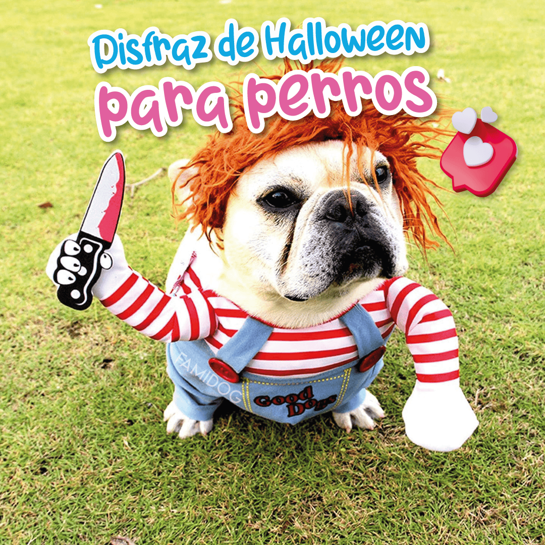 Disfraz de Halloween para perros