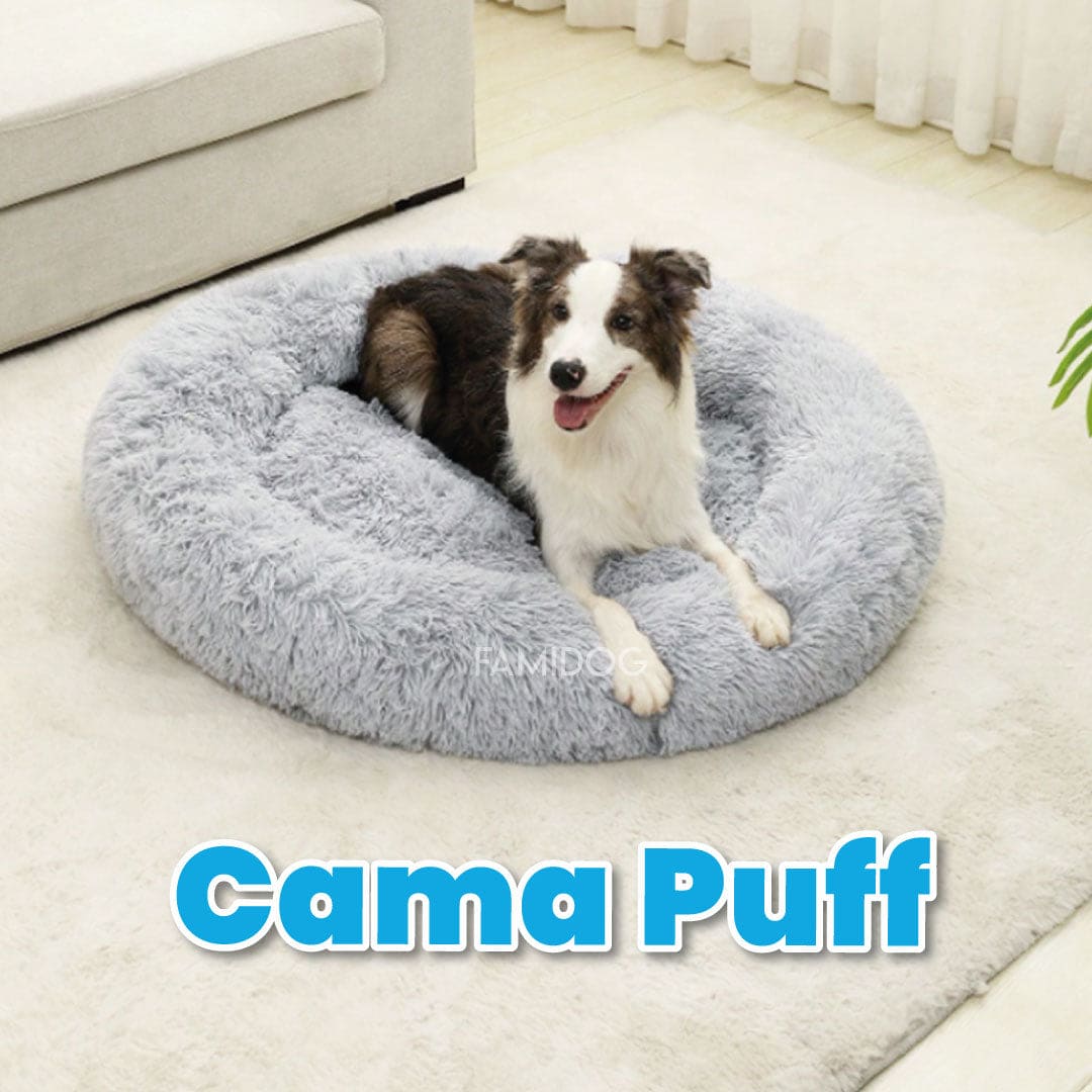 Dog Puff Cama para Perro Grande - En Todos Los Colores! (Negro) :  : Productos para animales
