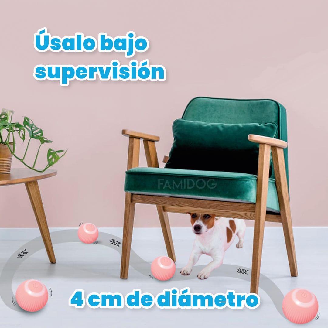 Pelota Gravity Pet