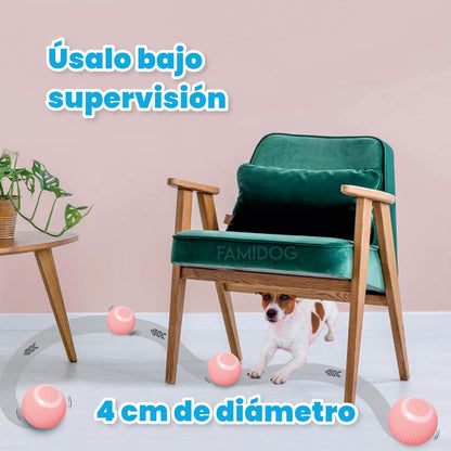 Pelota Gravity Pet