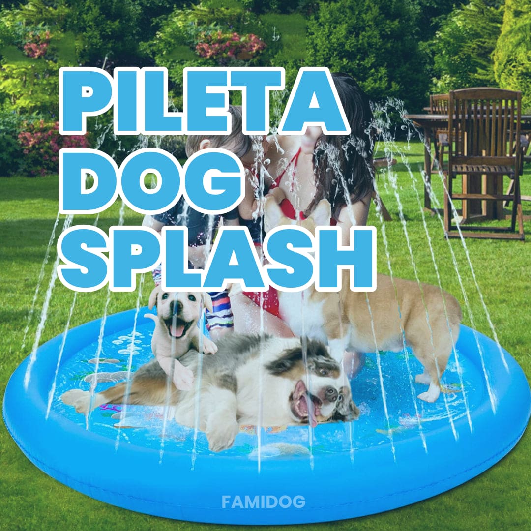 Piscina Para Perros Pequeños Gimdog Splash Time! S (80 X 20 Cm