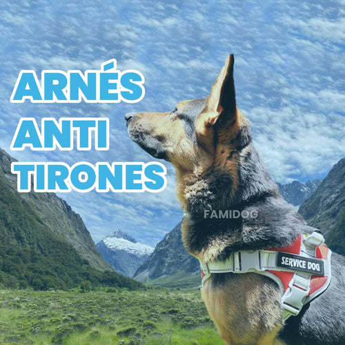 Arnés Anti Tirones