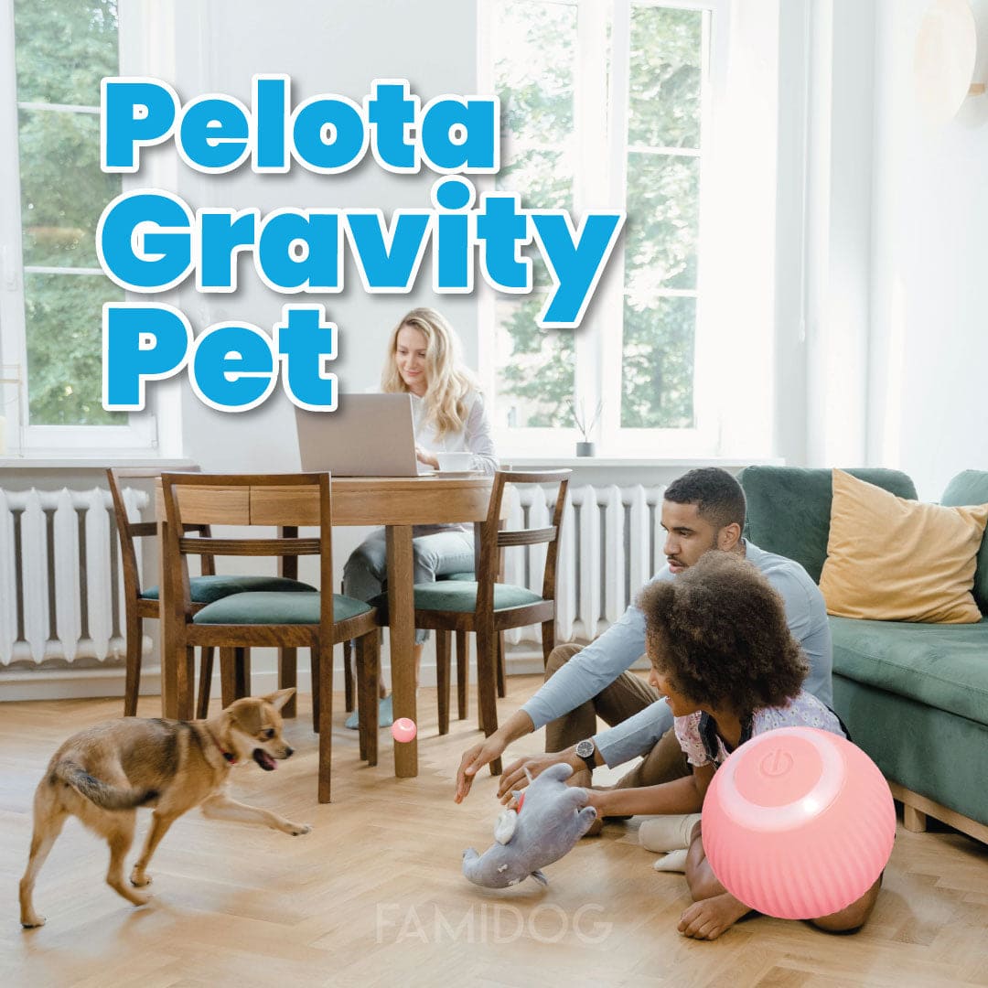 Pelota Gravity Pet
