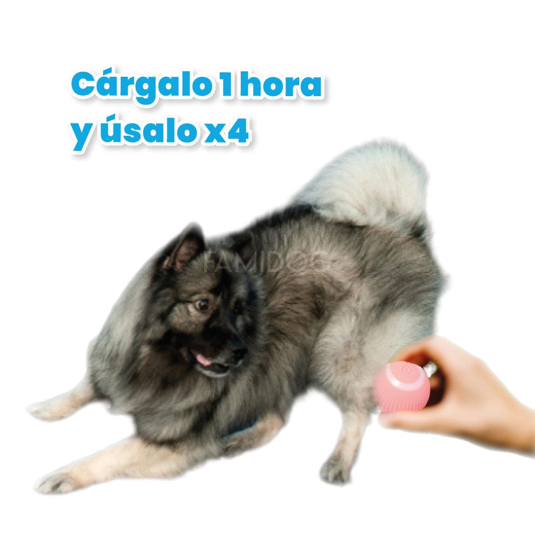 Pelota Gravity Pet