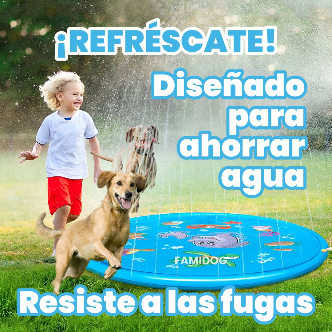 Pileta Dog Splash