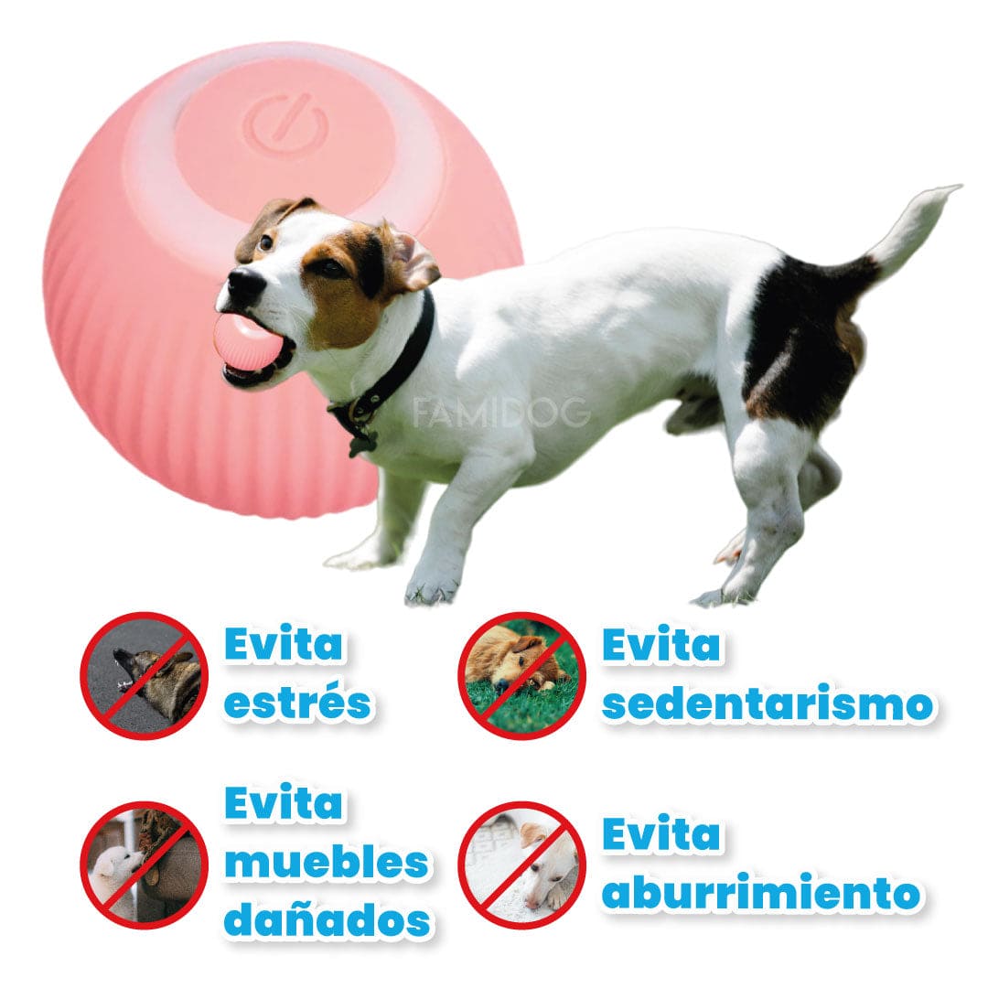 Pelota Gravity Pet