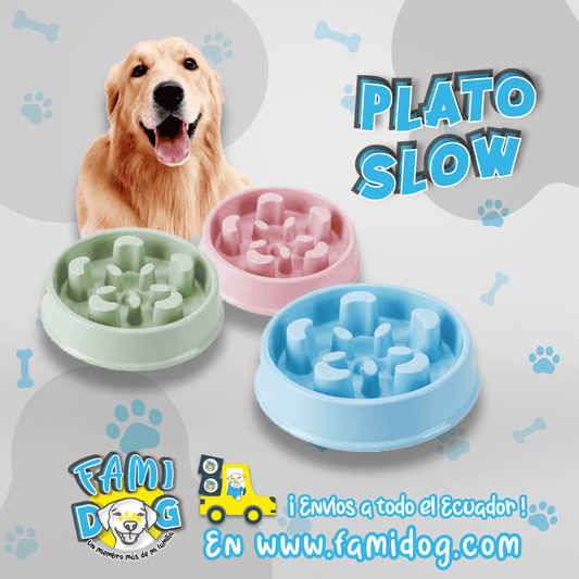 Plato Slow®️