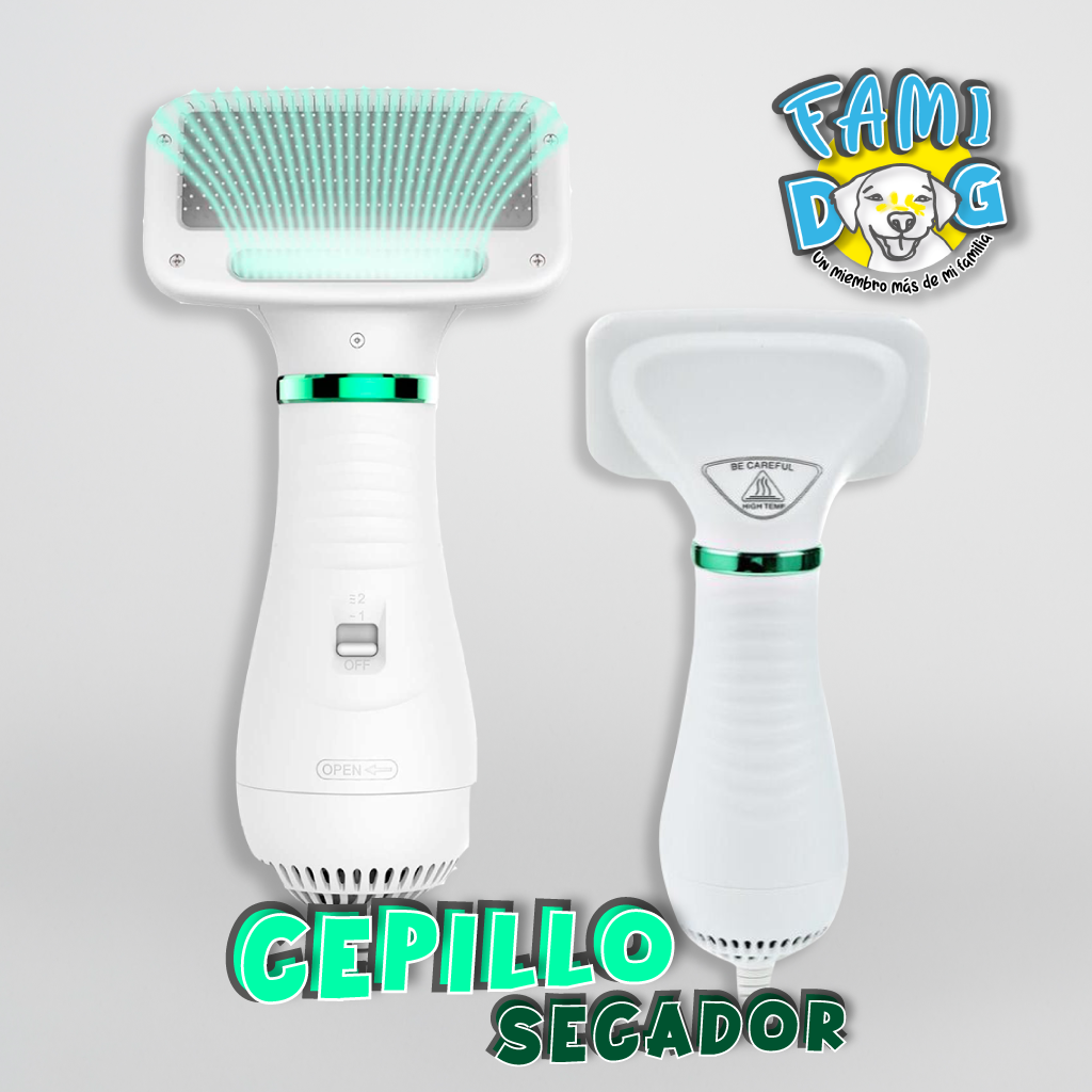 Cepillo secador®️