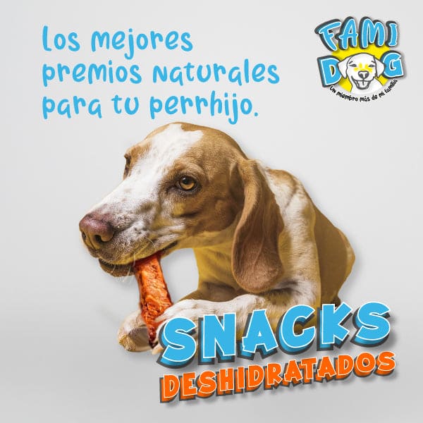 Snacks Deshidratados