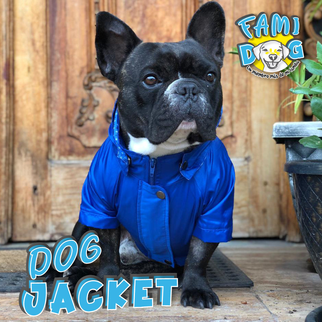 DOG JACKET®️