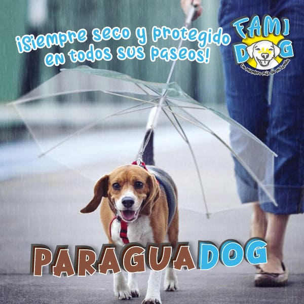 Paraguadog