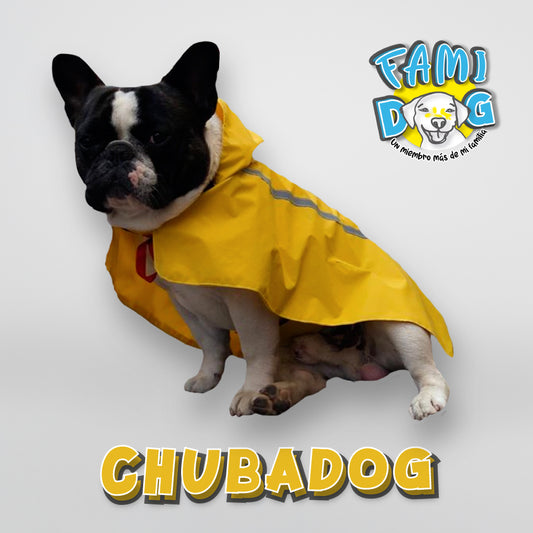 Chubadog