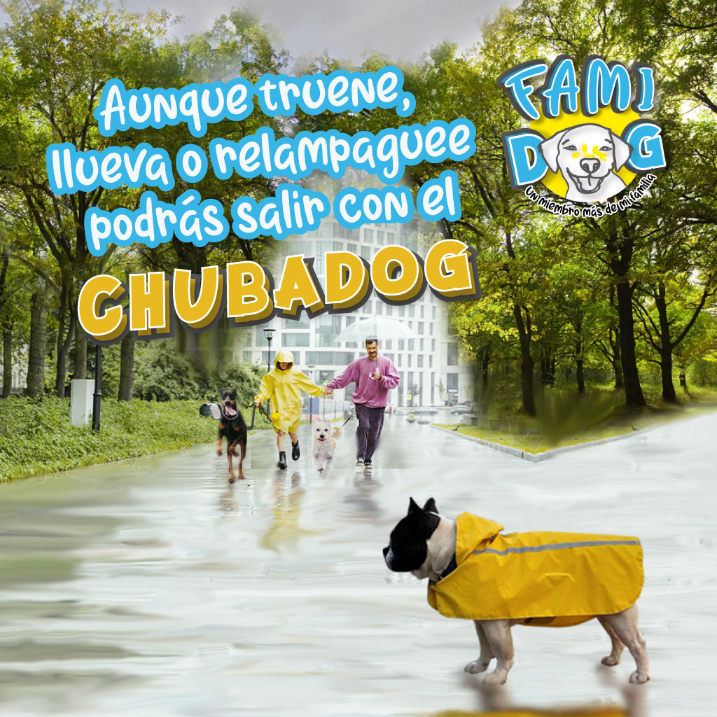 Chubadog