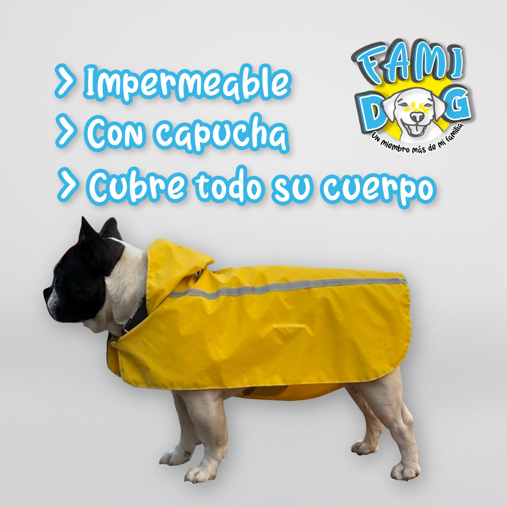 Chubadog