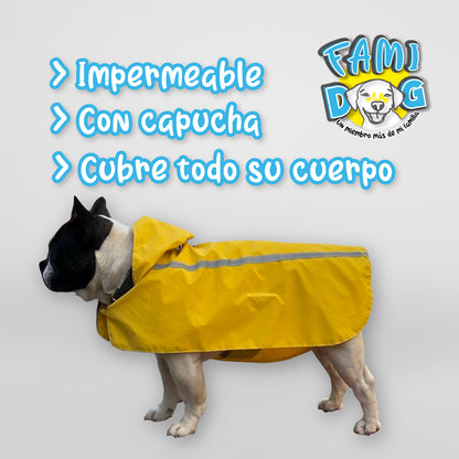 Chubadog