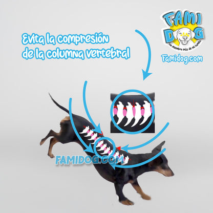 Dog ramp