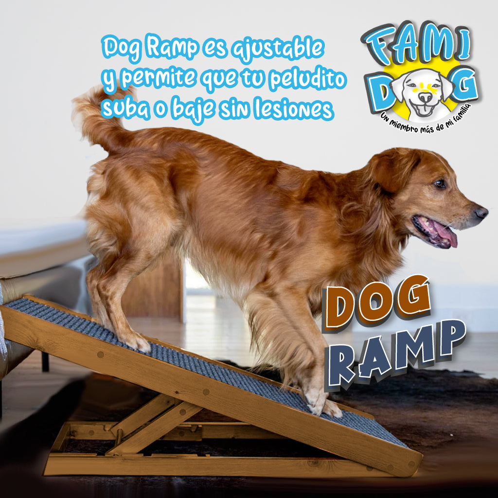 Dog ramp