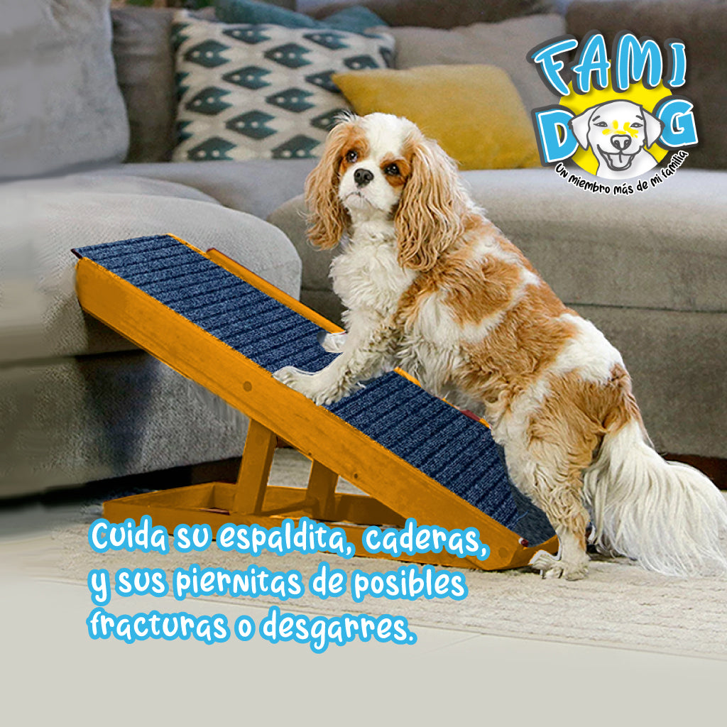 Dog ramp