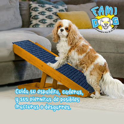 Dog ramp